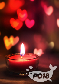 ����ɼ���NP ��Ů�ˣ�