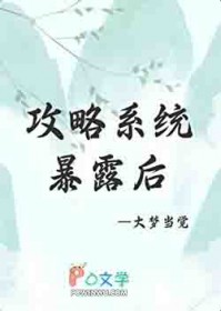 ���Գɹ���ϵͳ��¶��