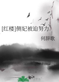 [红楼] 侧妃被迫努力